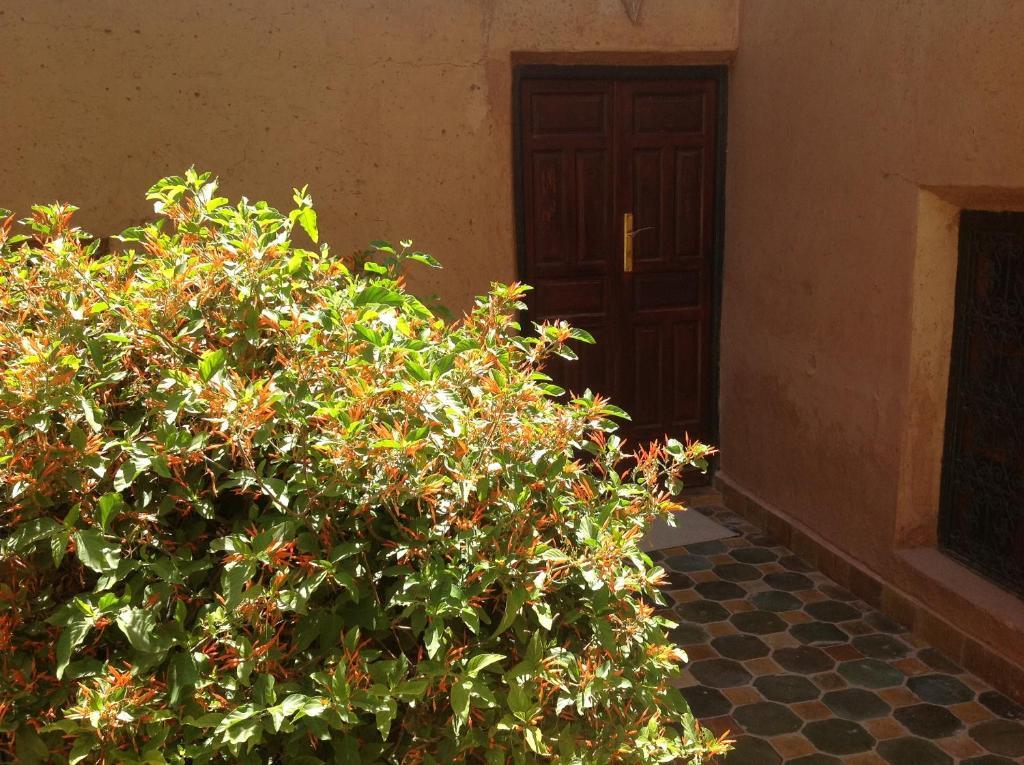 Riad Timadrouine Timatraouine Habitación foto